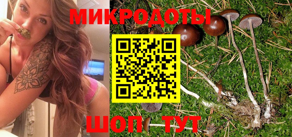 Галлюциногенные грибы Psilocybe Лесной