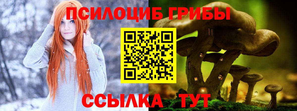 Псилоцибиновые грибы Magic Shrooms  Вход с VPN  Лесной 